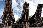 Tana Toraya Stock pictures